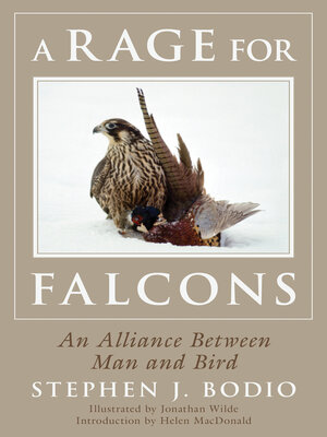 cover image of A Rage for Falcons